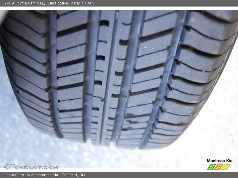 Classic Silver Metallic / Ash 2009 Toyota Camry LE