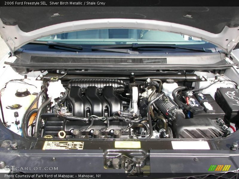 Silver Birch Metallic / Shale Grey 2006 Ford Freestyle SEL