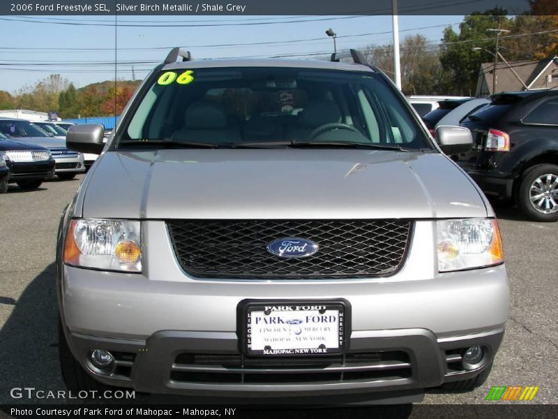 Silver Birch Metallic / Shale Grey 2006 Ford Freestyle SEL