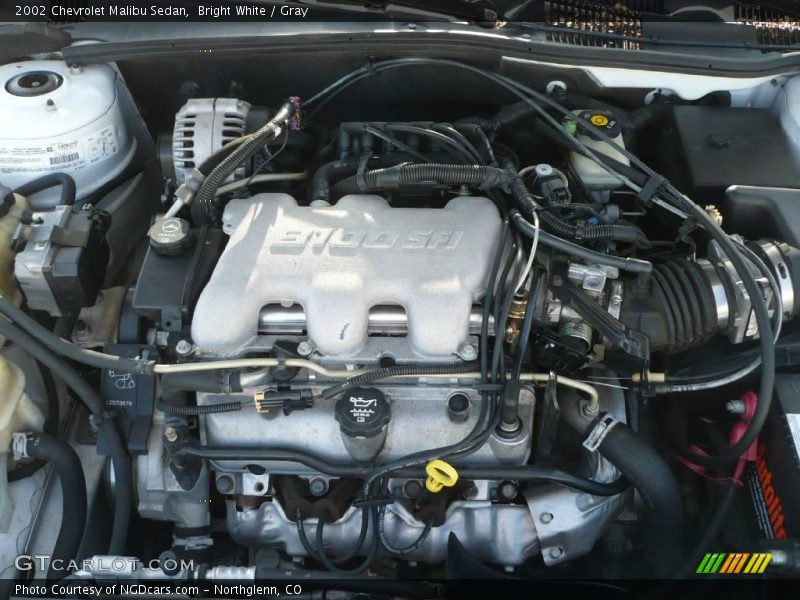 Bright White / Gray 2002 Chevrolet Malibu Sedan