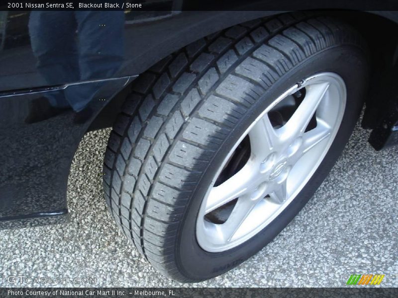 Blackout Black / Stone 2001 Nissan Sentra SE