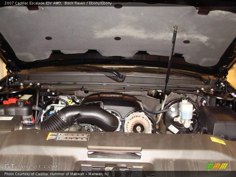 Black Raven / Ebony/Ebony 2007 Cadillac Escalade ESV AWD