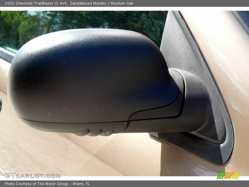 Sandalwood Metallic / Medium Oak 2002 Chevrolet TrailBlazer LS 4x4