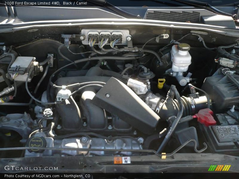 Black / Camel 2008 Ford Escape Limited 4WD
