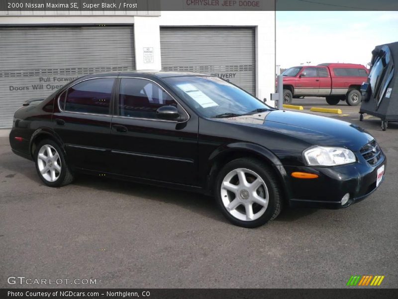 Super Black / Frost 2000 Nissan Maxima SE