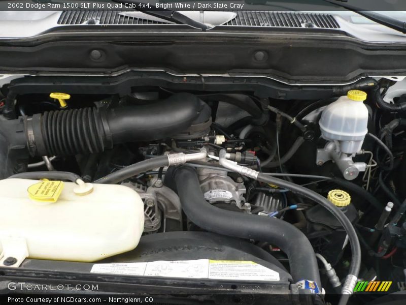 Bright White / Dark Slate Gray 2002 Dodge Ram 1500 SLT Plus Quad Cab 4x4