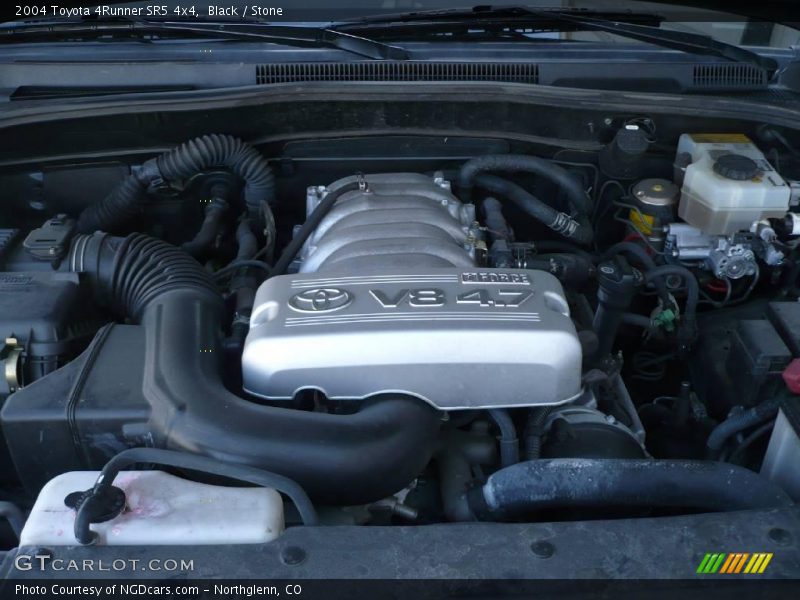 Black / Stone 2004 Toyota 4Runner SR5 4x4