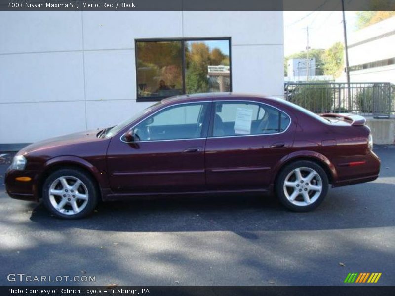 Merlot Red / Black 2003 Nissan Maxima SE