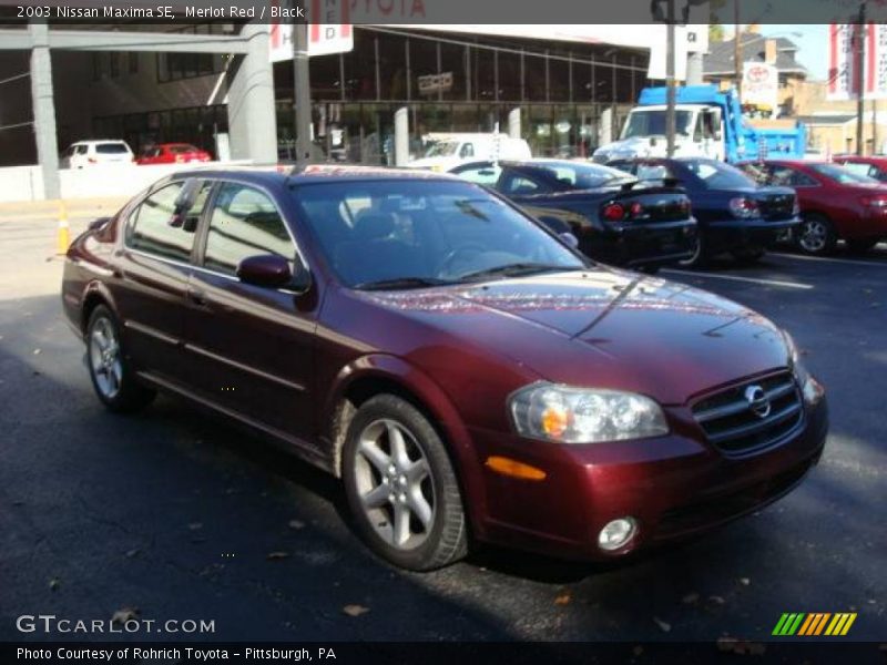 Merlot Red / Black 2003 Nissan Maxima SE