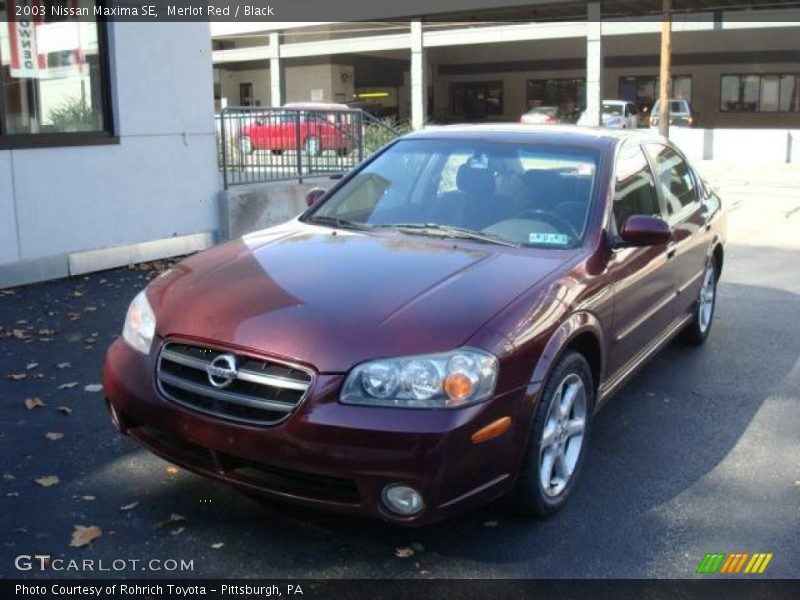 Merlot Red / Black 2003 Nissan Maxima SE