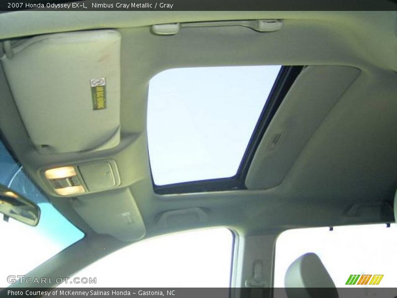 Nimbus Gray Metallic / Gray 2007 Honda Odyssey EX-L