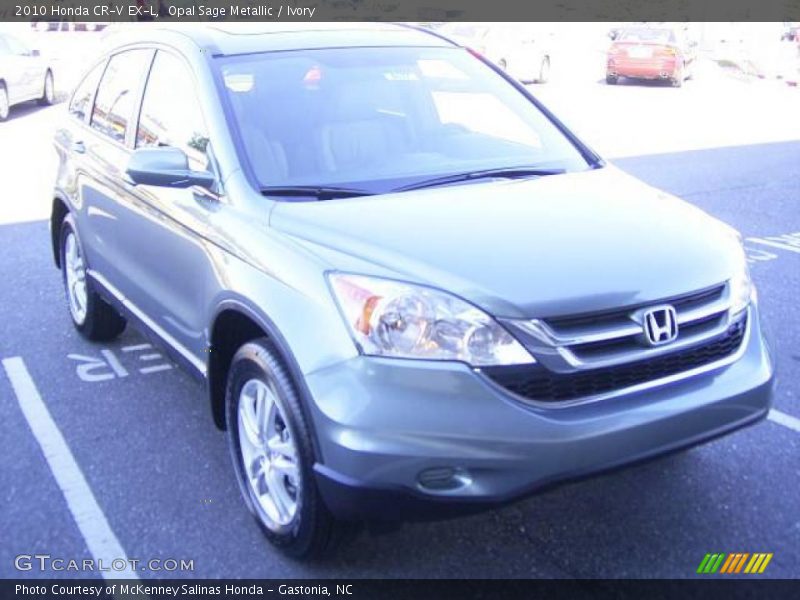 Opal Sage Metallic / Ivory 2010 Honda CR-V EX-L