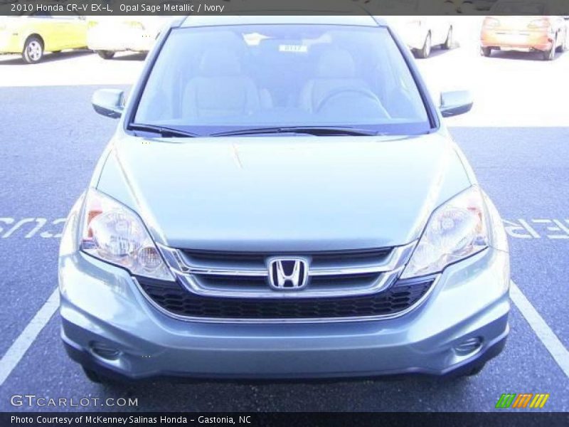 Opal Sage Metallic / Ivory 2010 Honda CR-V EX-L