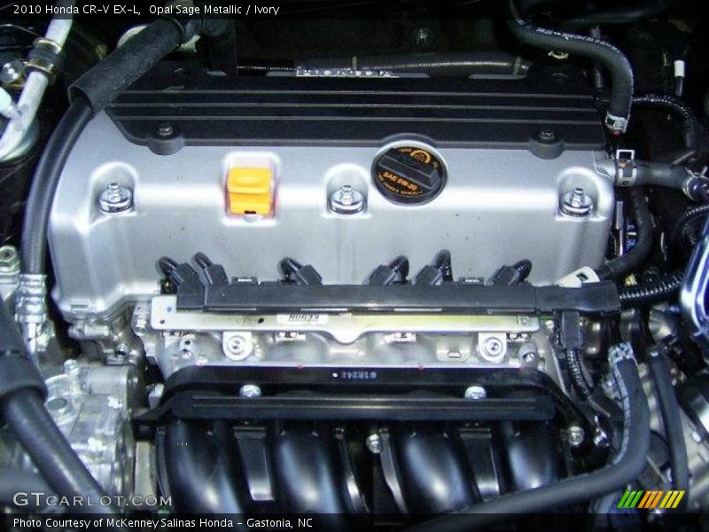 Opal Sage Metallic / Ivory 2010 Honda CR-V EX-L