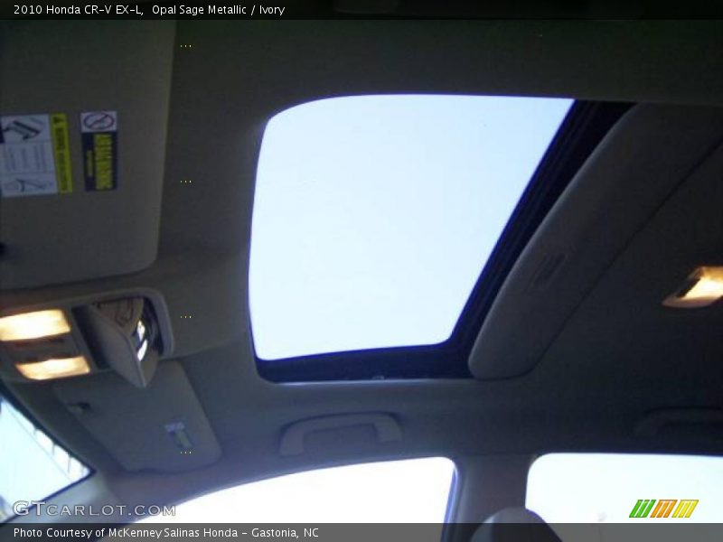 Opal Sage Metallic / Ivory 2010 Honda CR-V EX-L