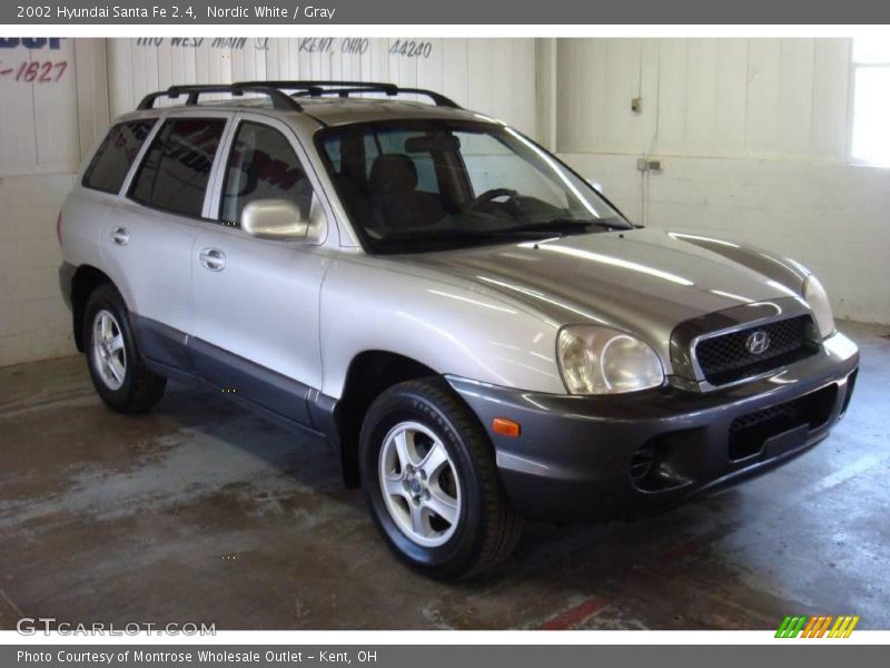 Nordic White / Gray 2002 Hyundai Santa Fe 2.4