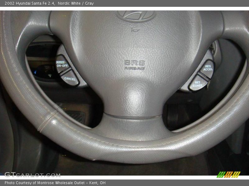 Nordic White / Gray 2002 Hyundai Santa Fe 2.4