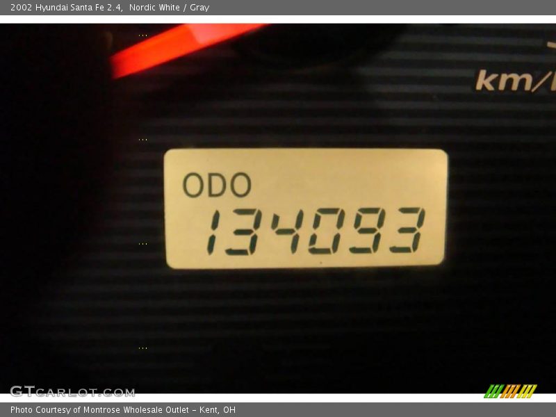 Nordic White / Gray 2002 Hyundai Santa Fe 2.4