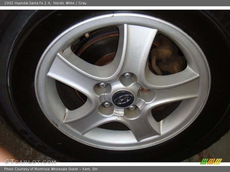 Nordic White / Gray 2002 Hyundai Santa Fe 2.4