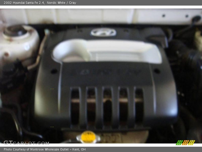Nordic White / Gray 2002 Hyundai Santa Fe 2.4