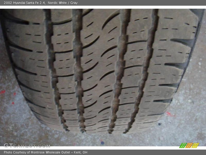 Nordic White / Gray 2002 Hyundai Santa Fe 2.4