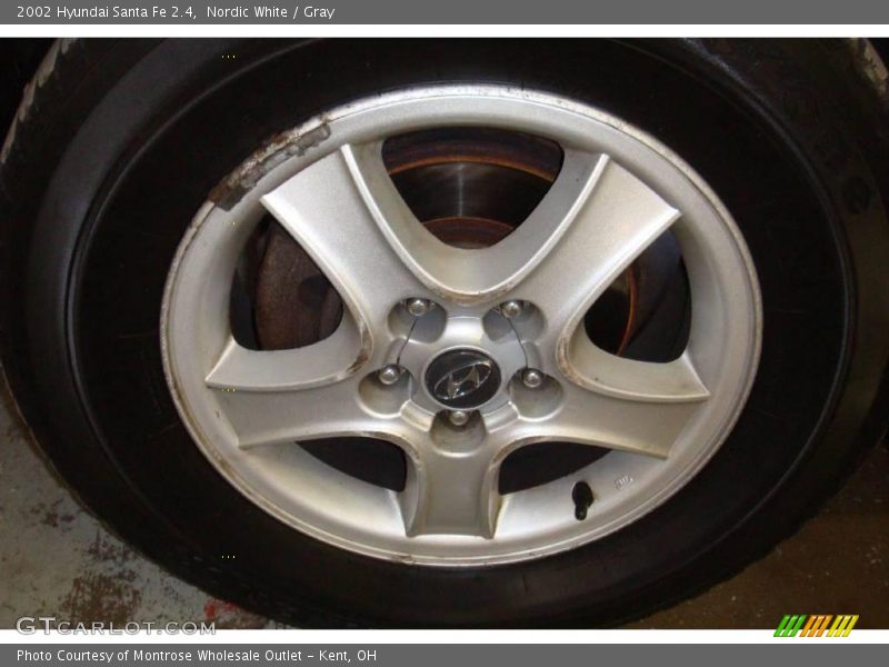Nordic White / Gray 2002 Hyundai Santa Fe 2.4