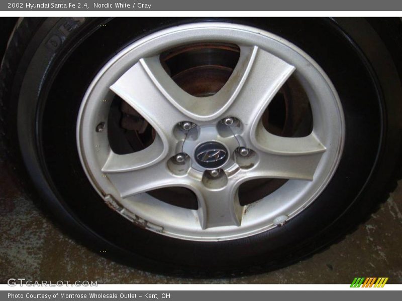 Nordic White / Gray 2002 Hyundai Santa Fe 2.4