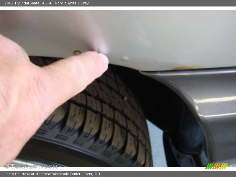 Nordic White / Gray 2002 Hyundai Santa Fe 2.4