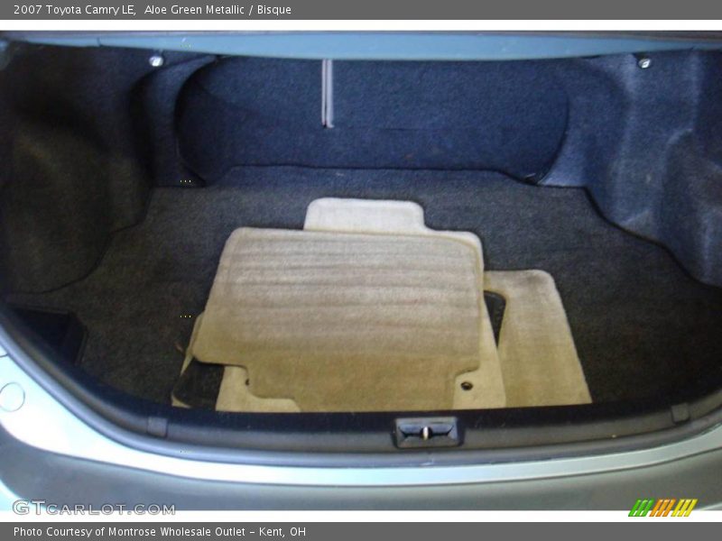 Aloe Green Metallic / Bisque 2007 Toyota Camry LE