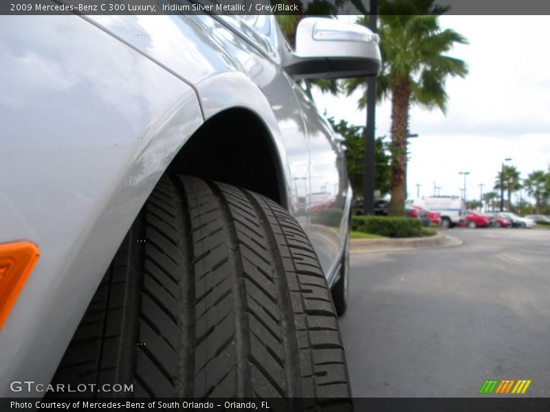 Iridium Silver Metallic / Grey/Black 2009 Mercedes-Benz C 300 Luxury