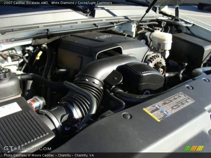 White Diamond / Cocoa/Light Cashmere 2007 Cadillac Escalade AWD