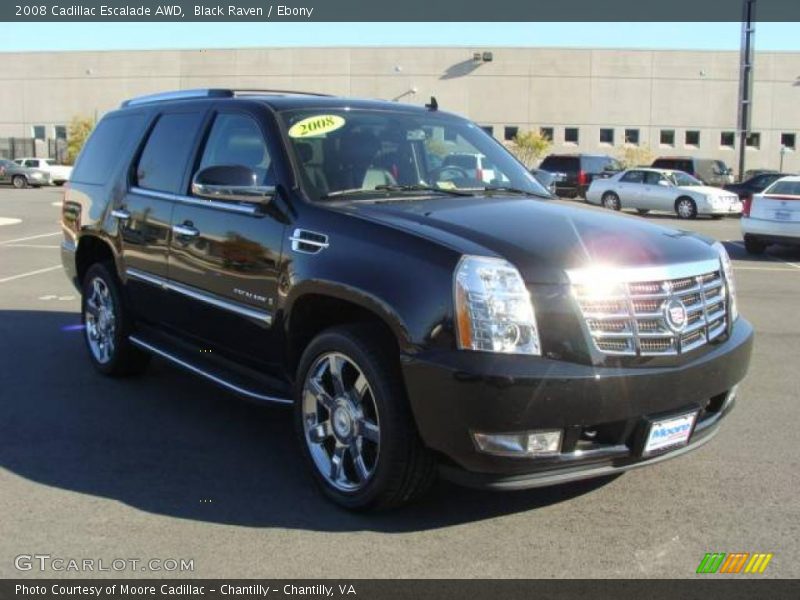 Black Raven / Ebony 2008 Cadillac Escalade AWD