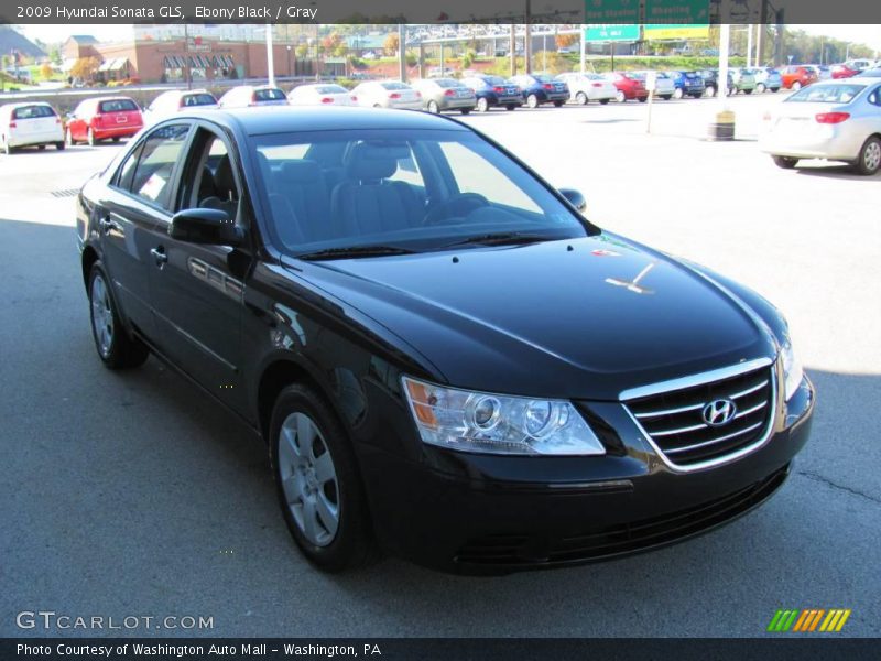 Ebony Black / Gray 2009 Hyundai Sonata GLS