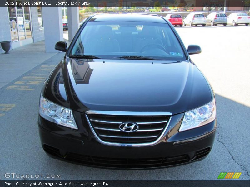 Ebony Black / Gray 2009 Hyundai Sonata GLS