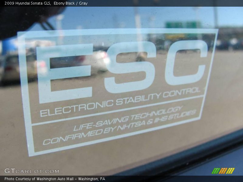 Ebony Black / Gray 2009 Hyundai Sonata GLS