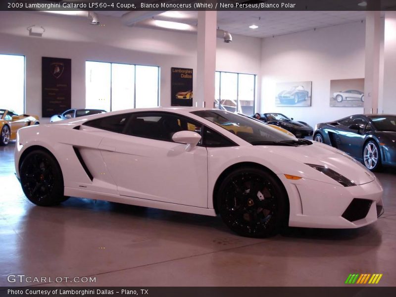 Bianco Monocerus (White) / Nero Perseus/Bianco Polar 2009 Lamborghini Gallardo LP560-4 Coupe