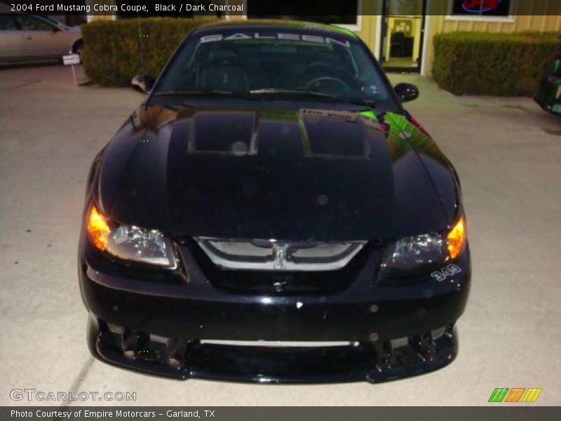 Black / Dark Charcoal 2004 Ford Mustang Cobra Coupe
