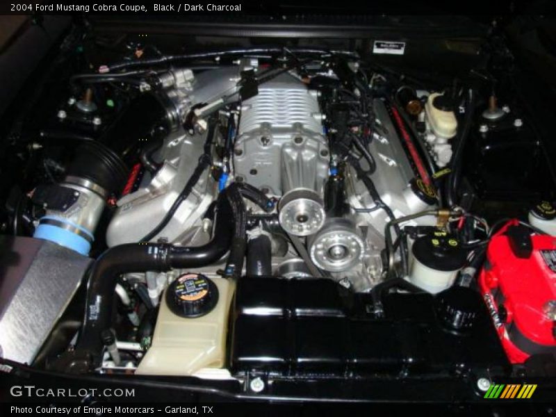 Black / Dark Charcoal 2004 Ford Mustang Cobra Coupe