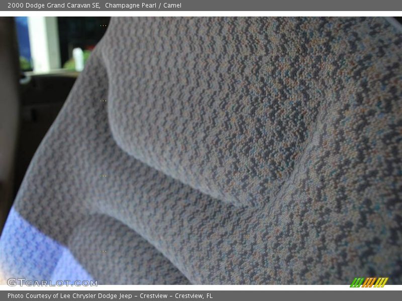 Champagne Pearl / Camel 2000 Dodge Grand Caravan SE