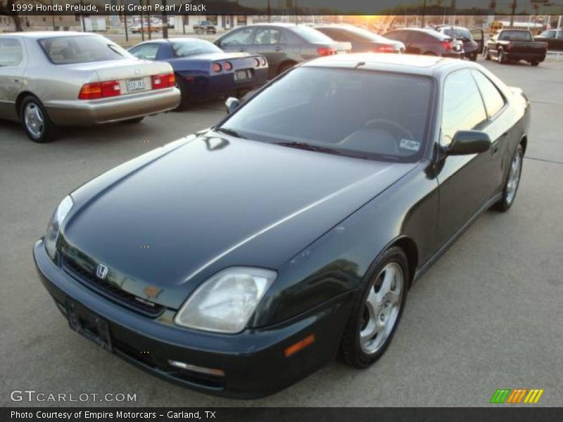 Ficus Green Pearl / Black 1999 Honda Prelude