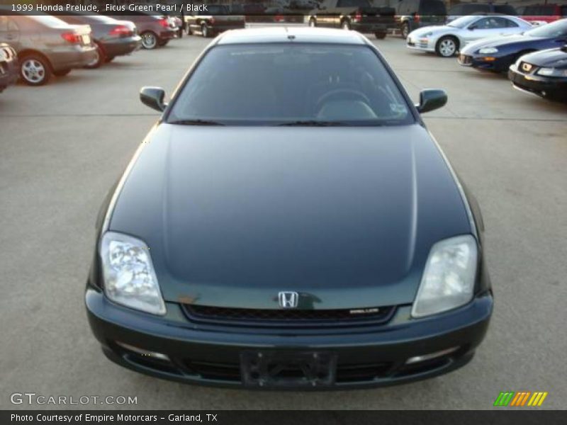 Ficus Green Pearl / Black 1999 Honda Prelude