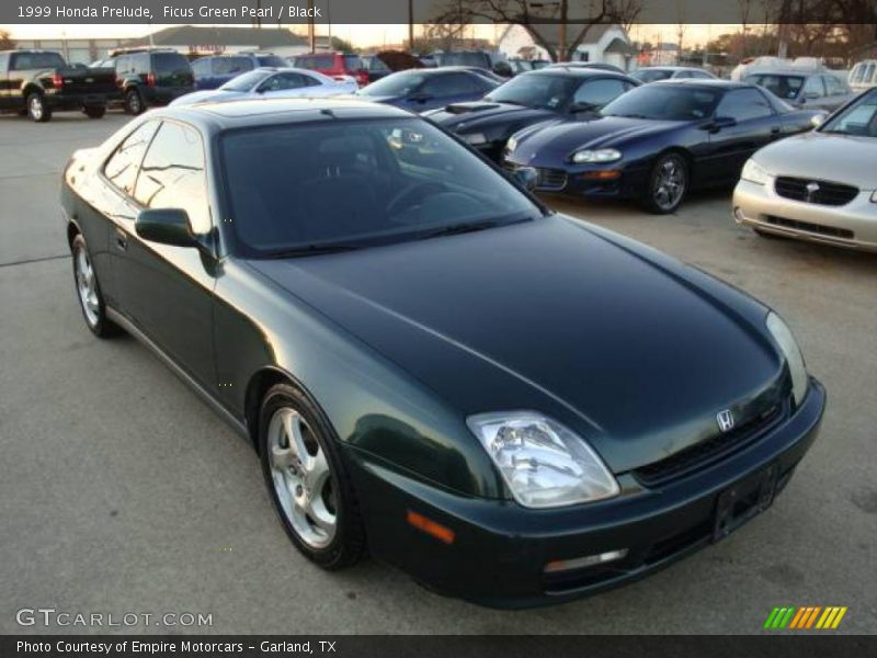Ficus Green Pearl / Black 1999 Honda Prelude