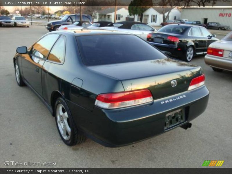 Ficus Green Pearl / Black 1999 Honda Prelude