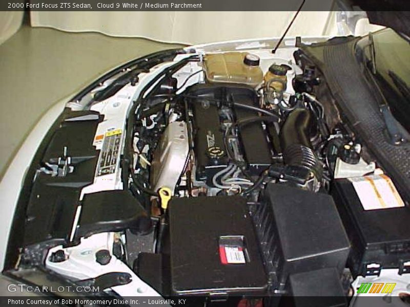 Cloud 9 White / Medium Parchment 2000 Ford Focus ZTS Sedan