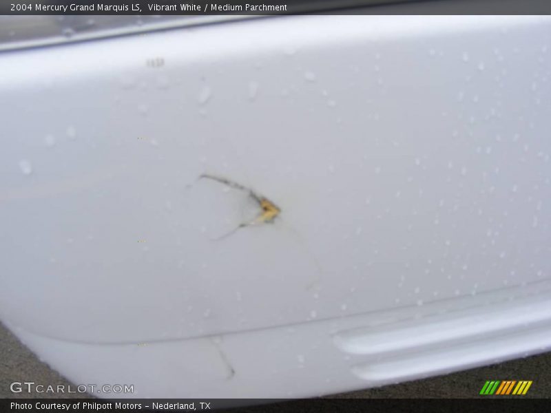 Vibrant White / Medium Parchment 2004 Mercury Grand Marquis LS