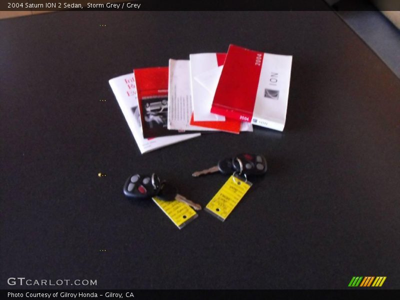 Storm Grey / Grey 2004 Saturn ION 2 Sedan