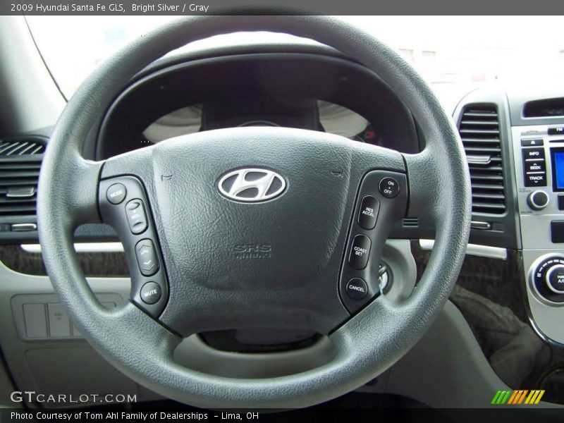 Bright Silver / Gray 2009 Hyundai Santa Fe GLS