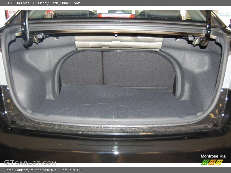 Ebony Black / Black Sport 2010 Kia Forte SX