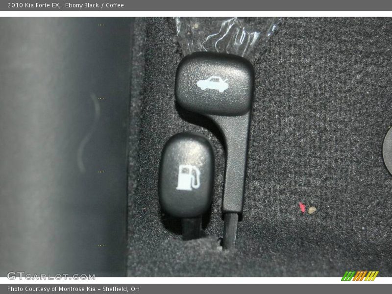 Ebony Black / Coffee 2010 Kia Forte EX