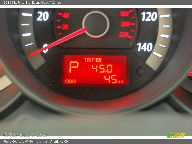 Ebony Black / Coffee 2010 Kia Forte EX